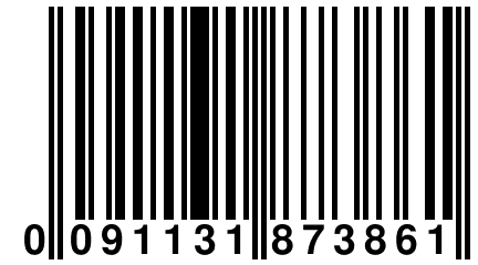 0 091131 873861