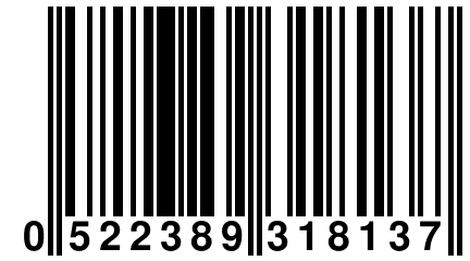 0 522389 318137
