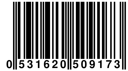 0 531620 509173