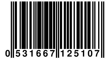 0 531667 125107