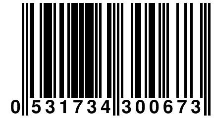 0 531734 300673
