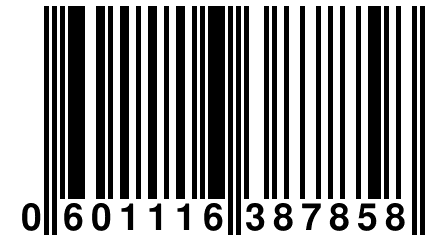 0 601116 387858