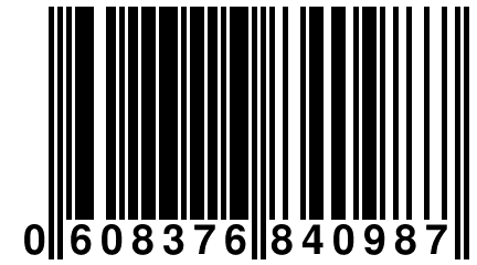 0 608376 840987