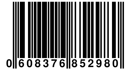 0 608376 852980