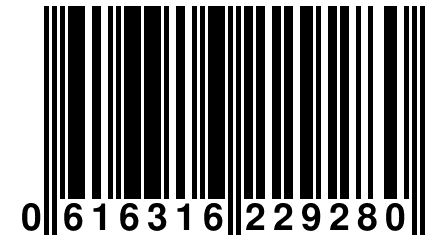 0 616316 229280