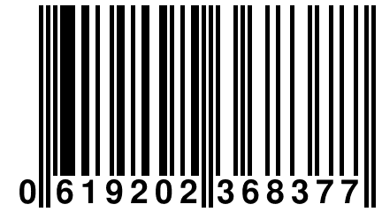 0 619202 368377