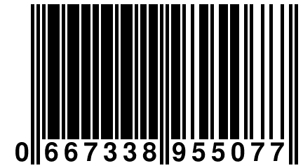 0 667338 955077