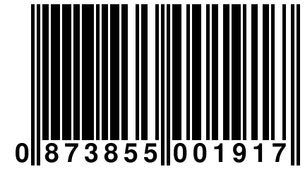 0 873855 001917