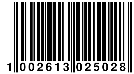 1 002613 025028