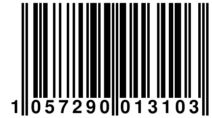 1 057290 013103