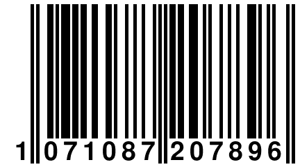 1 071087 207896