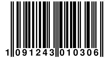 1 091243 010306