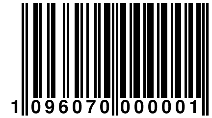 1 096070 000001