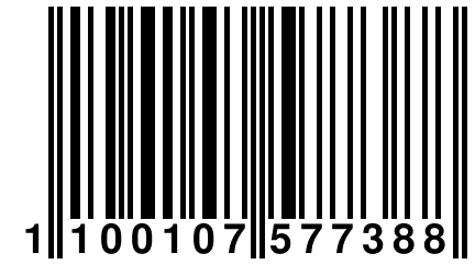 1 100107 577388