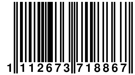 1 112673 718867