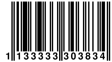 1 133333 303834