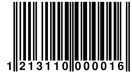 1 213110 000016