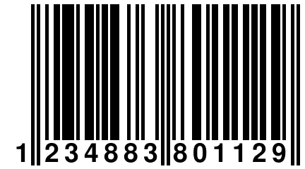 1 234883 801129