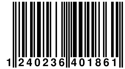 1 240236 401861