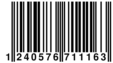 1 240576 711163