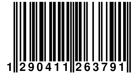 1 290411 263791