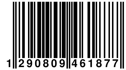 1 290809 461877