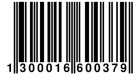 1 300016 600379