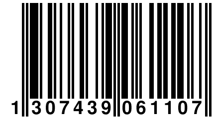 1 307439 061107