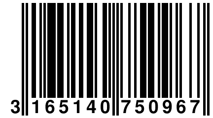 3 165140 750967
