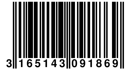 3 165143 091869