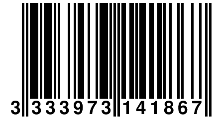 3 333973 141867