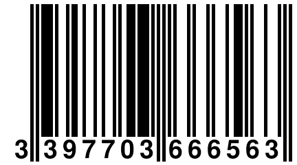 3 397703 666563