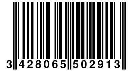 3 428065 502913