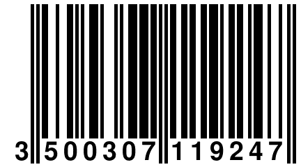 3 500307 119247
