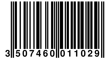 3 507460 011029