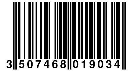 3 507468 019034