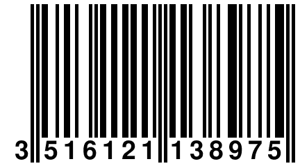 3 516121 138975