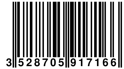 3 528705 917166