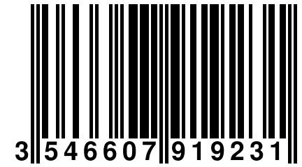 3 546607 919231