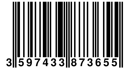3 597433 873655