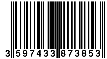3 597433 873853