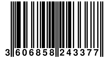 3 606858 243377