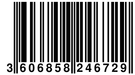 3 606858 246729