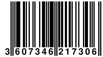 3 607346 217306