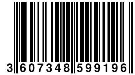 3 607348 599196