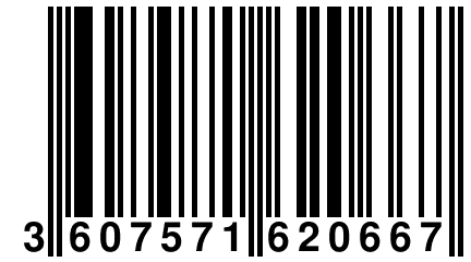 3 607571 620667