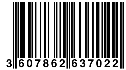 3 607862 637022