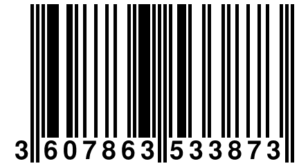 3 607863 533873