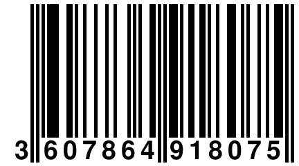 3 607864 918075