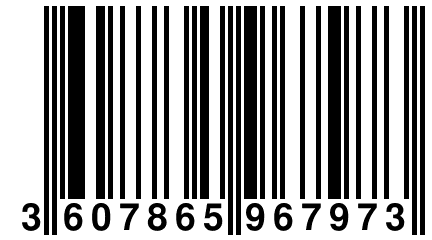 3 607865 967973